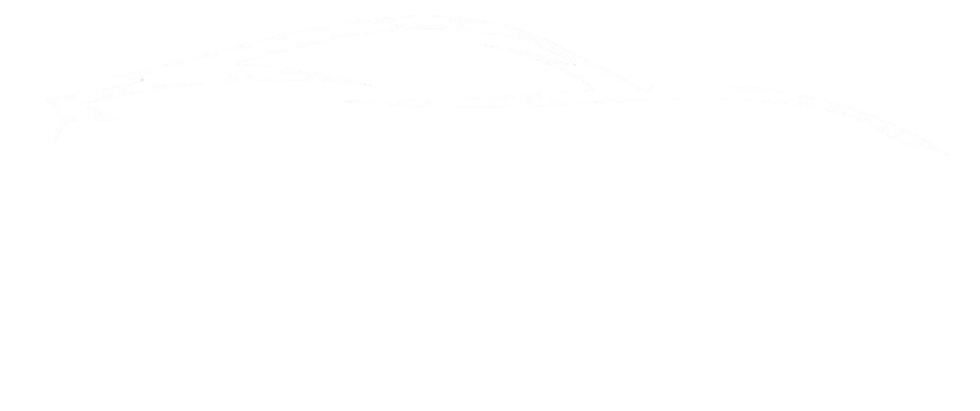 LENORMAND AUTOMOBILE & COHEN